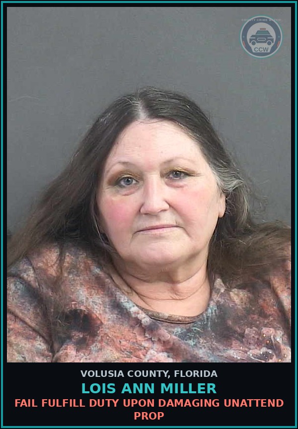 Booking mugshot of LOIS ANN MILLER in Volusia County