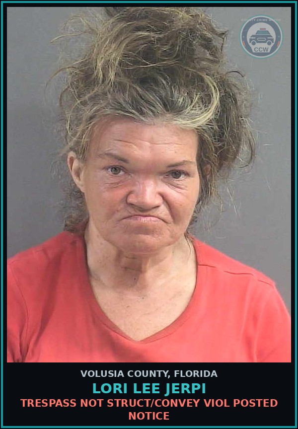Booking mugshot of LORI LEE JERPI in Volusia County