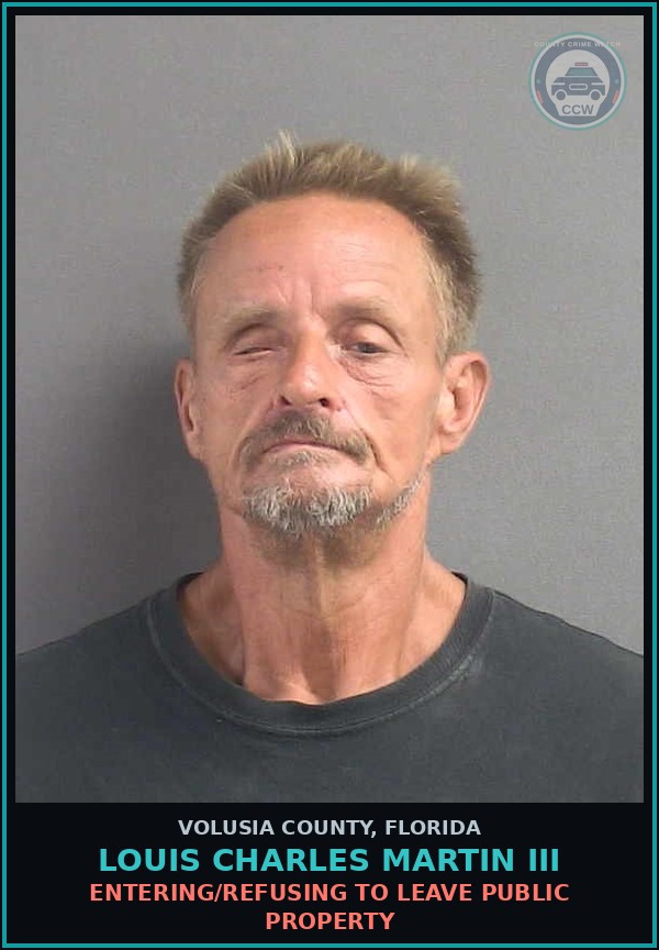 Booking mugshot of LOUIS CHARLES MARTIN III in Volusia County