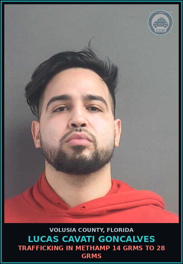 Booking mugshot of LUCAS CAVATI GONCALVES in Volusia County