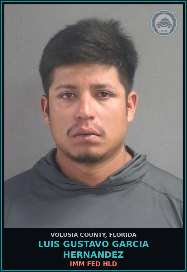 Booking mugshot of LUIS GUSTAVO GARCIA HERNANDEZ in Volusia County
