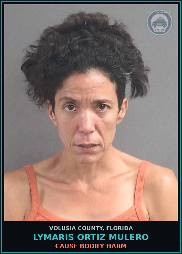 Booking mugshot of LYMARIS ORTIZ MULERO in Volusia County