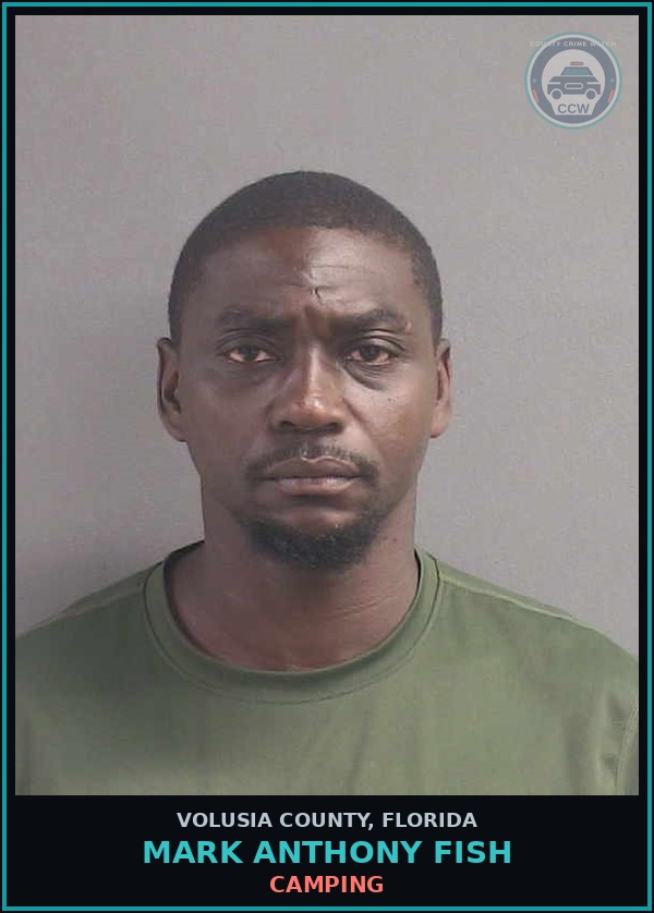 Booking mugshot of MARK ANTHONY FISH in Volusia County
