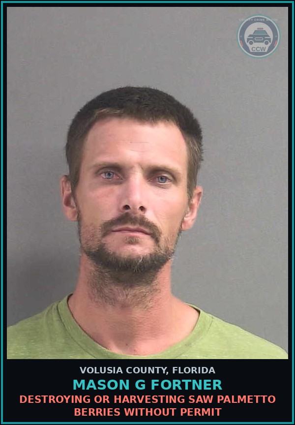 Booking mugshot of MASON G FORTNER in Volusia County