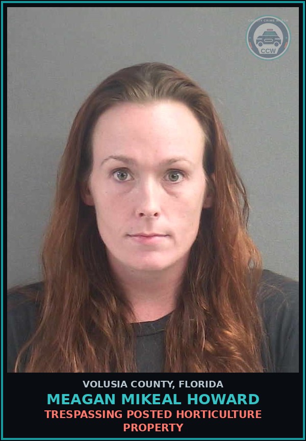 Booking mugshot of MEAGAN MIKEAL HOWARD in Volusia County