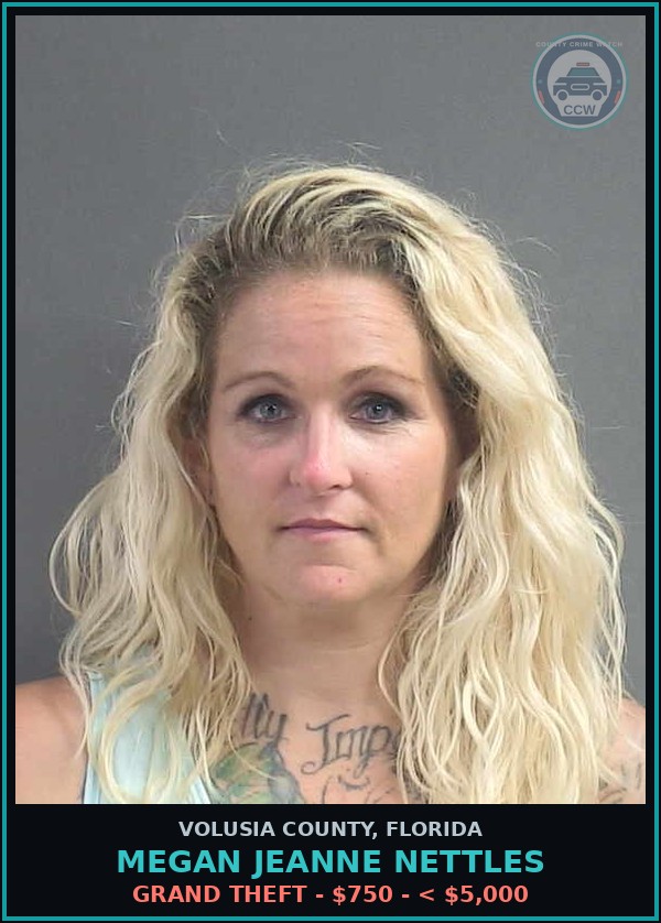 Booking mugshot of MEGAN JEANNE NETTLES in Volusia County