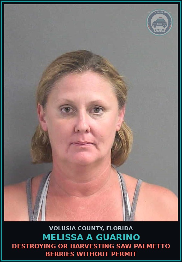 Booking mugshot of MELISSA A GUARINO in Volusia County
