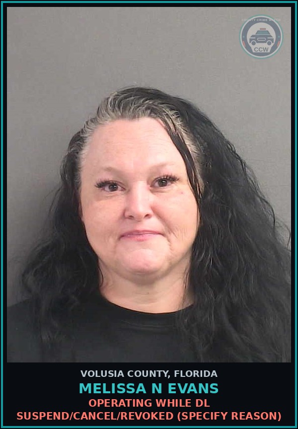 Booking mugshot of MELISSA N EVANS in Volusia County