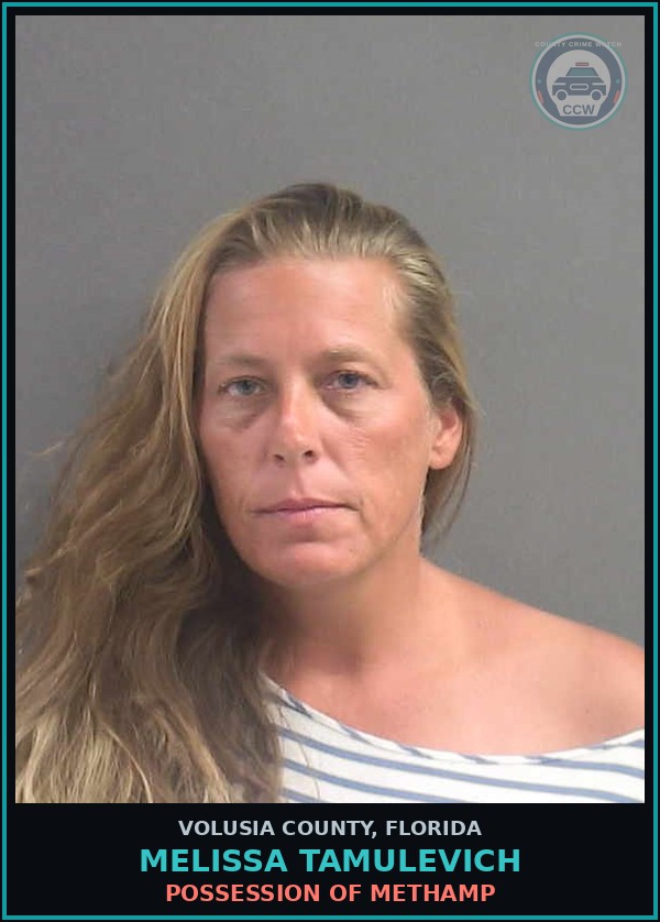 Booking mugshot of MELISSA TAMULEVICH in Volusia County