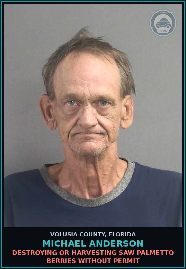 Booking mugshot of MICHAEL ANDERSON in Volusia County