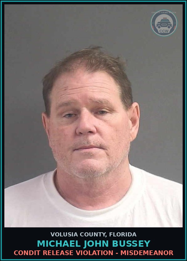 Booking mugshot of MICHAEL JOHN BUSSEY in Volusia County