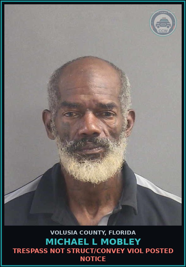 Booking mugshot of MICHAEL L MOBLEY in Volusia County