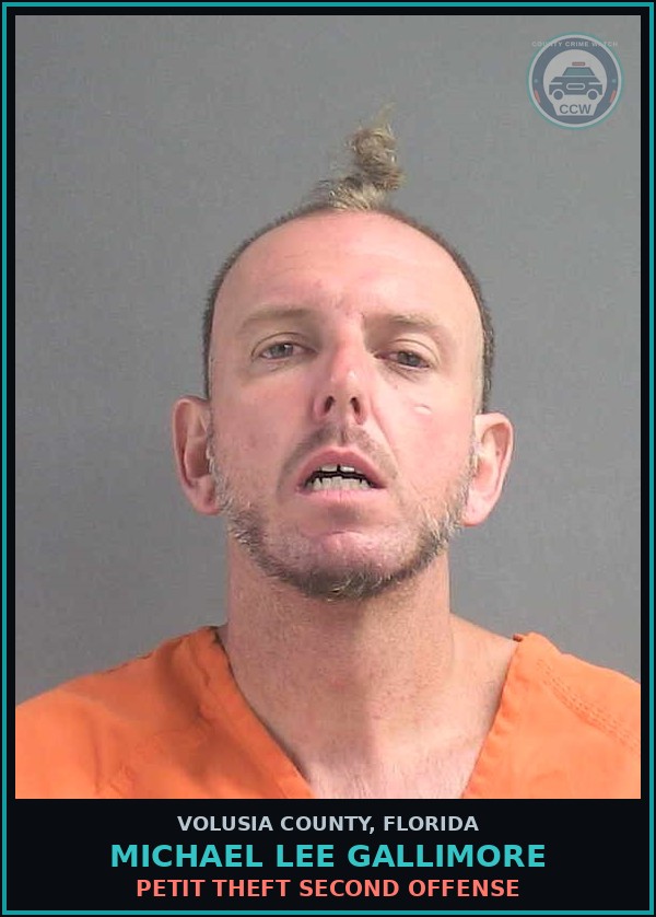 Booking mugshot of MICHAEL LEE GALLIMORE in Volusia County