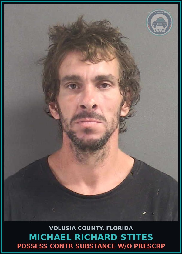 Booking mugshot of MICHAEL RICHARD STITES in Volusia County