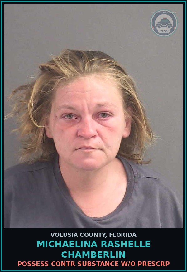 Booking mugshot of MICHAELINA RASHELLE CHAMBERLIN in Volusia County