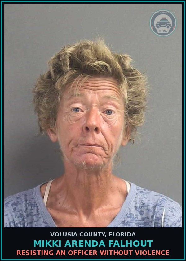 Booking mugshot of MIKKI ARENDA FALHOUT in Volusia County