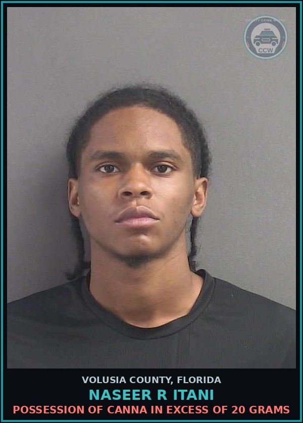 Booking mugshot of NASEER R ITANI in Volusia County