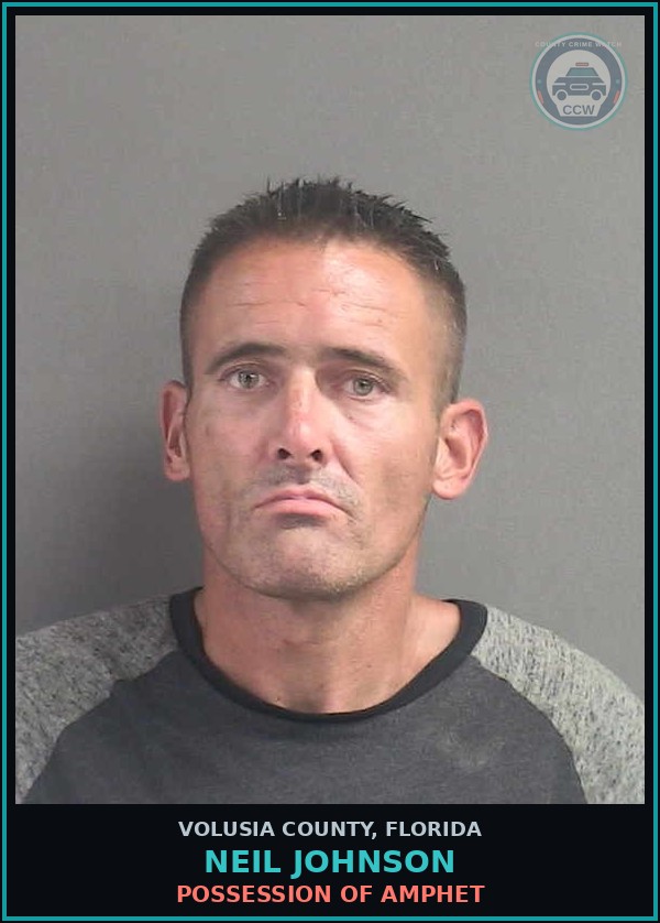 Booking mugshot of NEIL JOHNSON in Volusia County