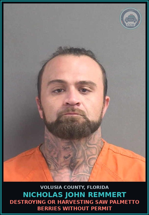 Booking mugshot of NICHOLAS JOHN REMMERT in Volusia County