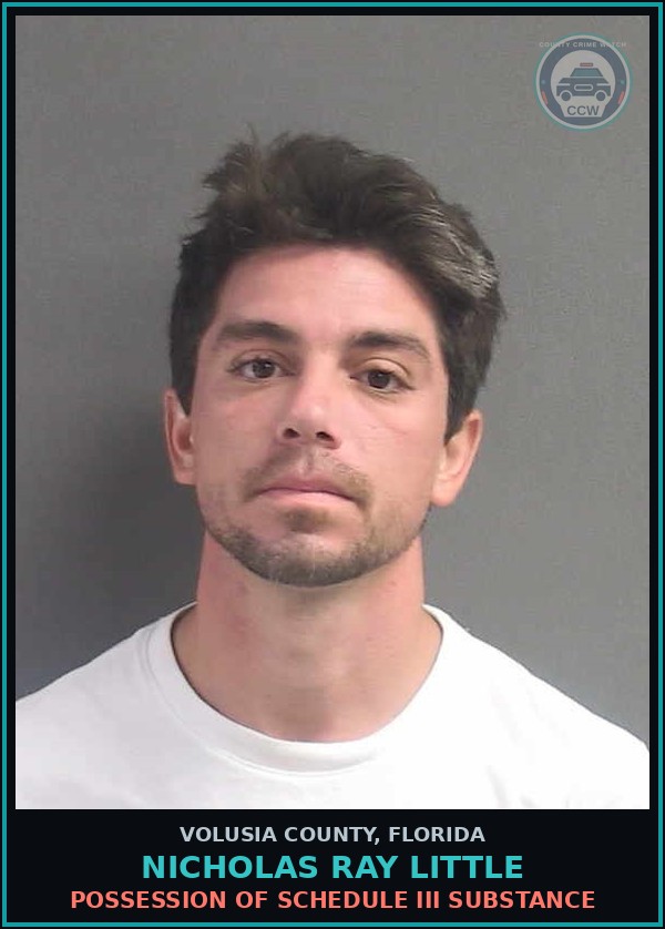 Booking mugshot of NICHOLAS RAY LITTLE in Volusia County