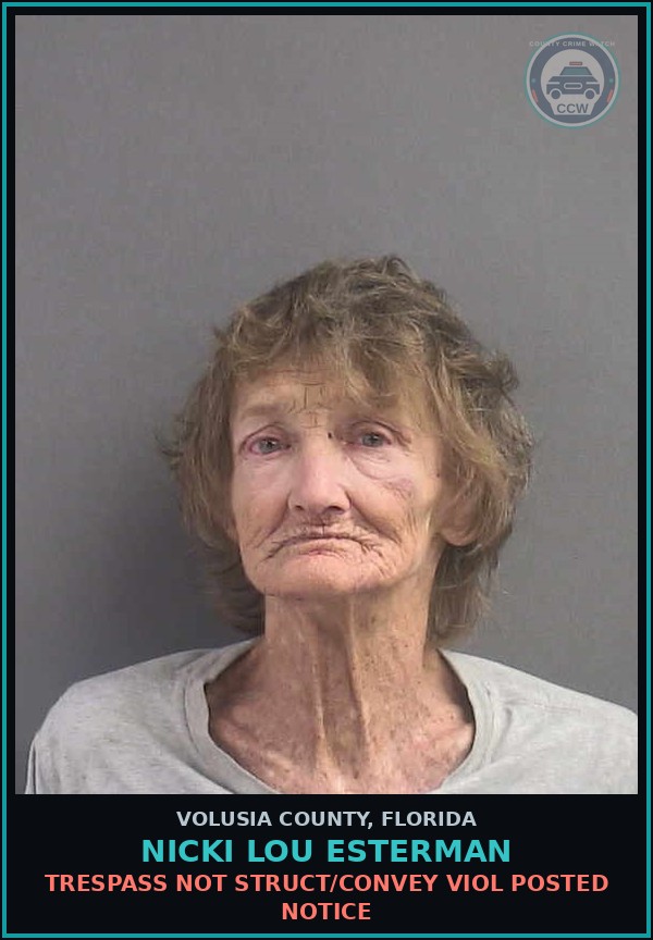 Booking mugshot of NICKI LOU ESTERMAN in Volusia County
