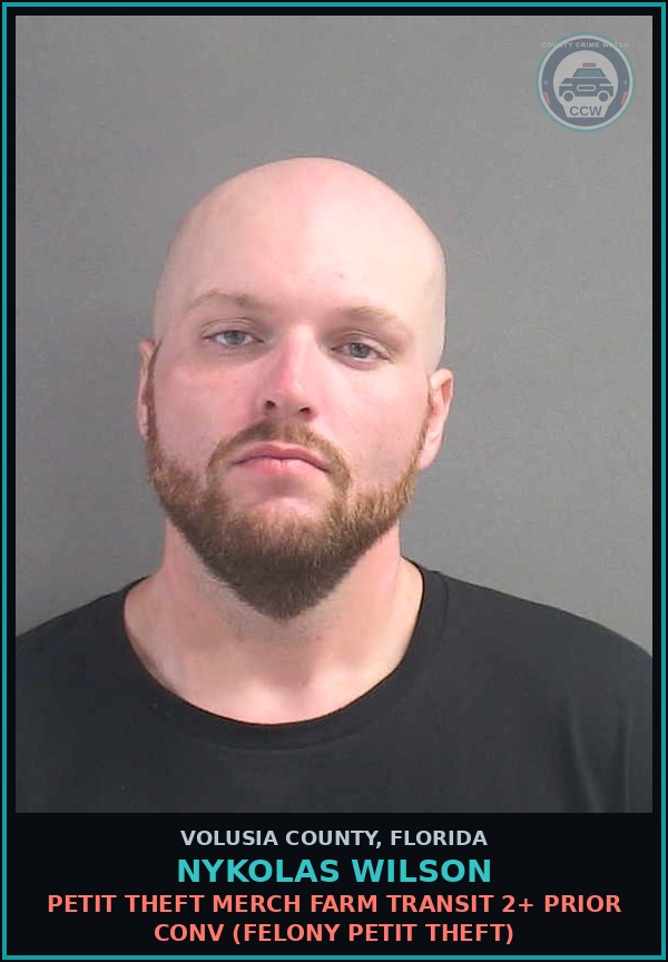 Booking mugshot of NYKOLAS WILSON in Volusia County