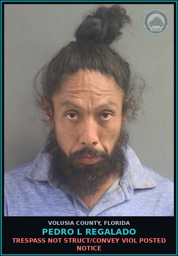 Booking mugshot of PEDRO L REGALADO in Volusia County