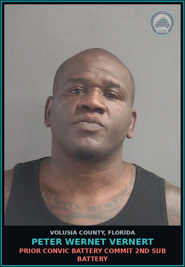 Booking mugshot of PETER WERNET VERNERT in Volusia County