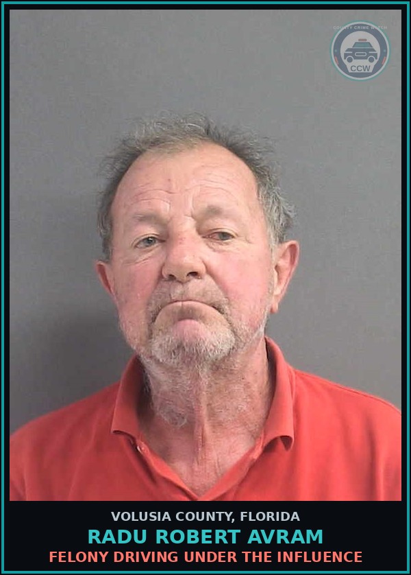 Booking mugshot of RADU ROBERT AVRAM in Volusia County