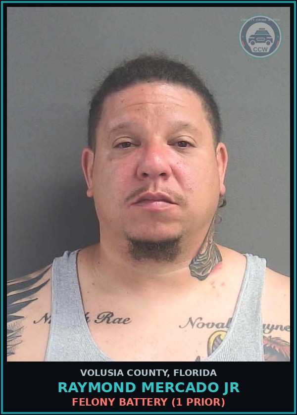Booking mugshot of RAYMOND MERCADO JR in Volusia County