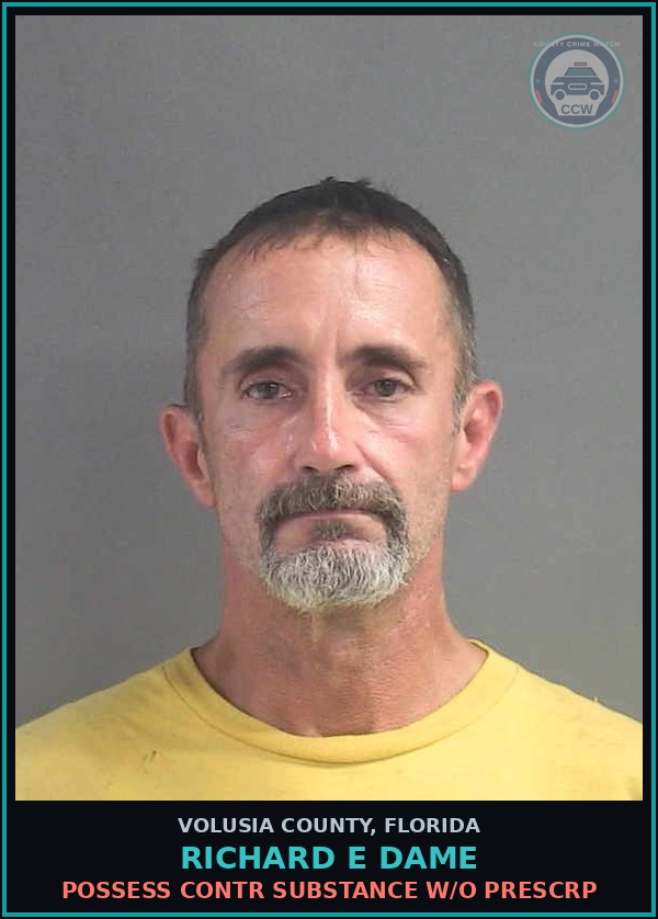 Booking mugshot of RICHARD E DAME in Volusia County