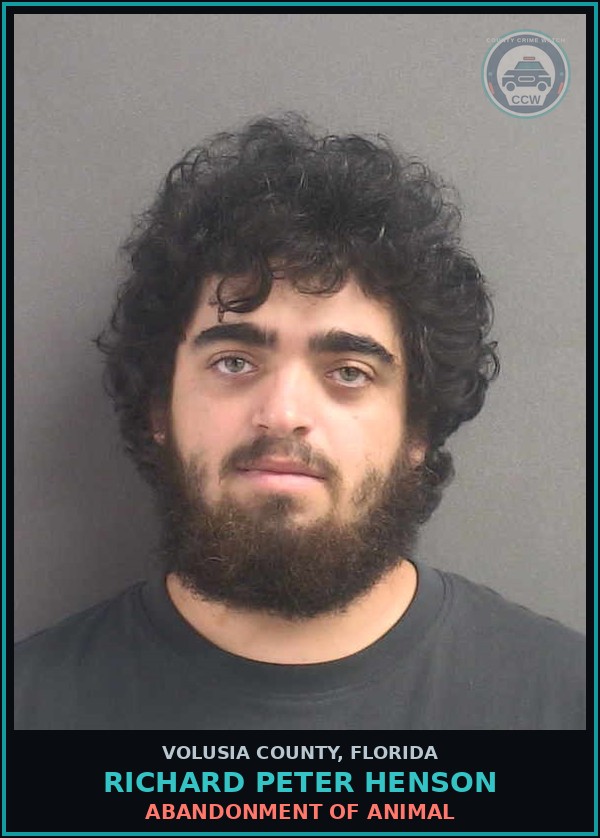Booking mugshot of RICHARD PETER HENSON in Volusia County