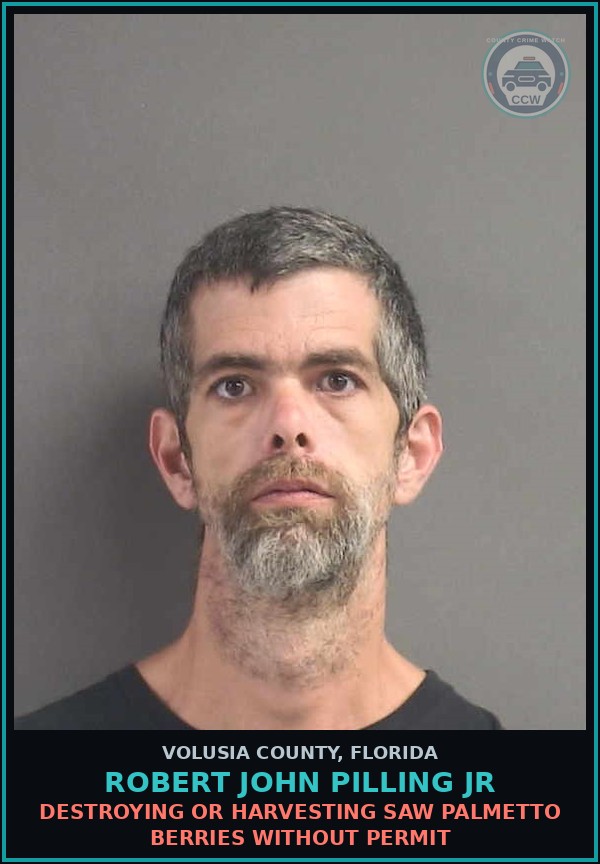 Booking mugshot of ROBERT JOHN PILLING JR in Volusia County