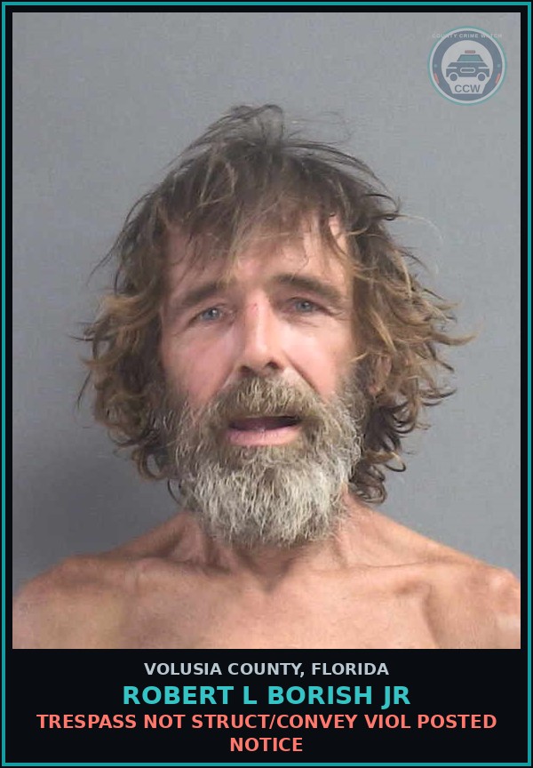 Booking mugshot of ROBERT L BORISH JR in Volusia County