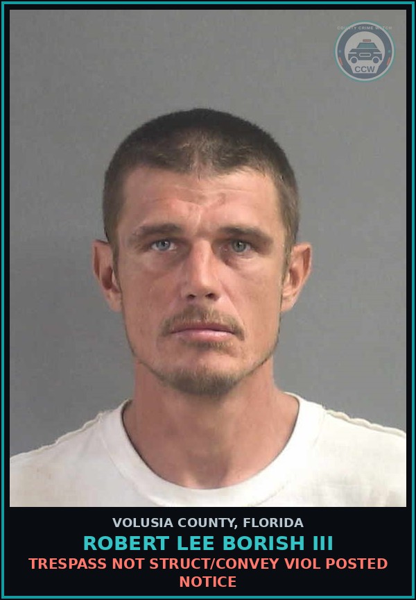 Booking mugshot of ROBERT LEE BORISH III in Volusia County