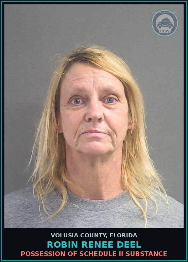 Booking mugshot of ROBIN RENEE DEEL in Volusia County