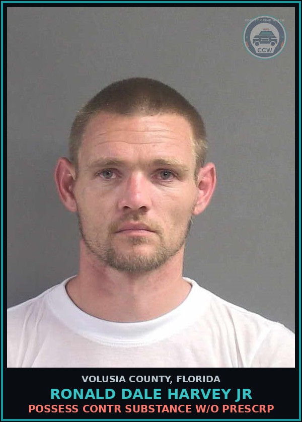 Booking mugshot of RONALD DALE HARVEY JR in Volusia County