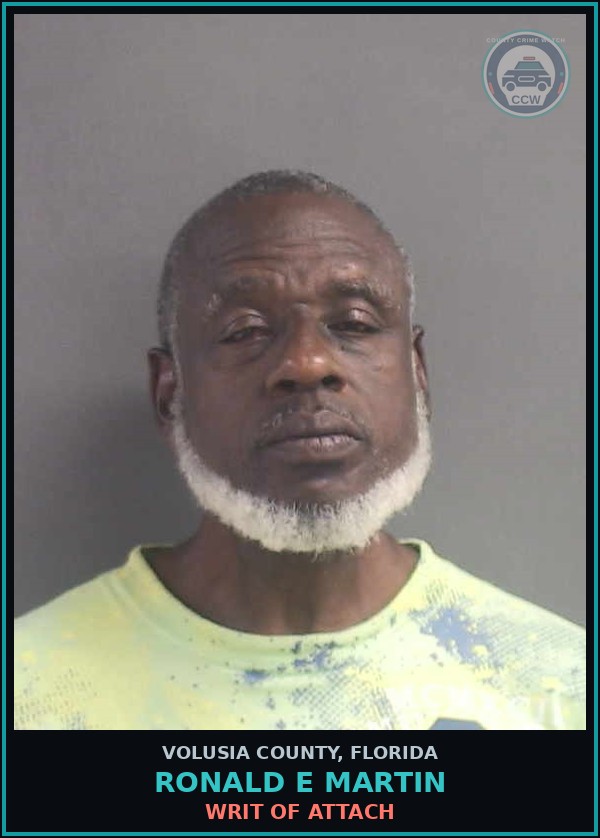 Booking mugshot of RONALD E MARTIN in Volusia County