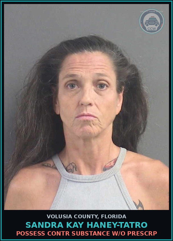 Booking mugshot of SANDRA KAY HANEY-TATRO in Volusia County