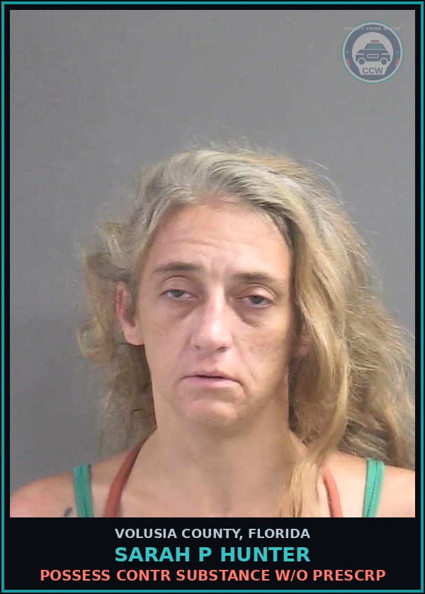 Booking mugshot of SARAH P HUNTER in Volusia County