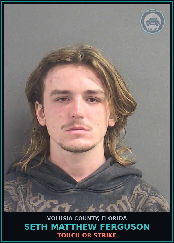 Booking mugshot of SETH MATTHEW FERGUSON in Volusia County