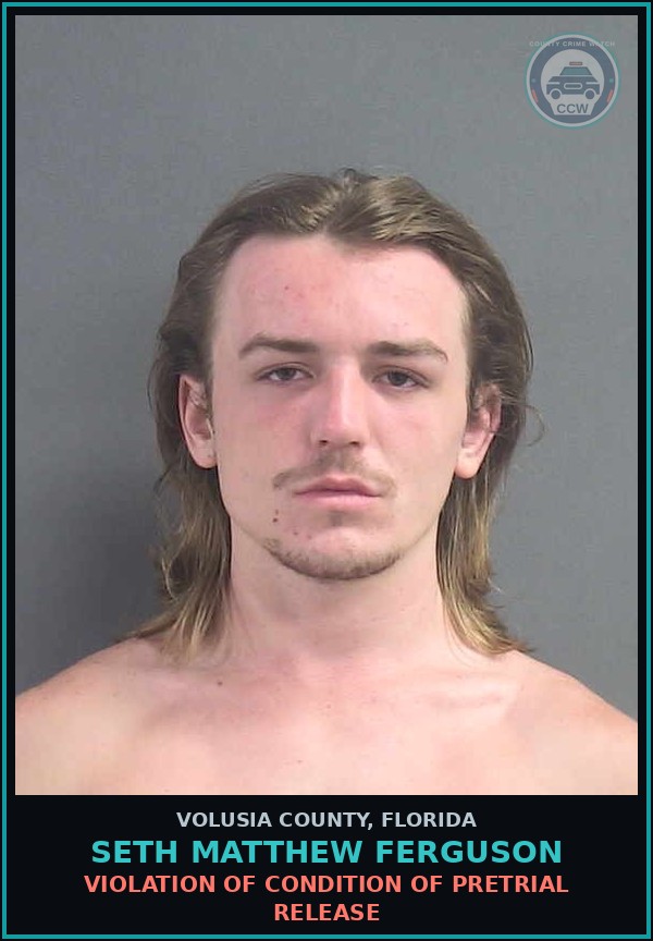 Booking mugshot of SETH MATTHEW FERGUSON in Volusia County