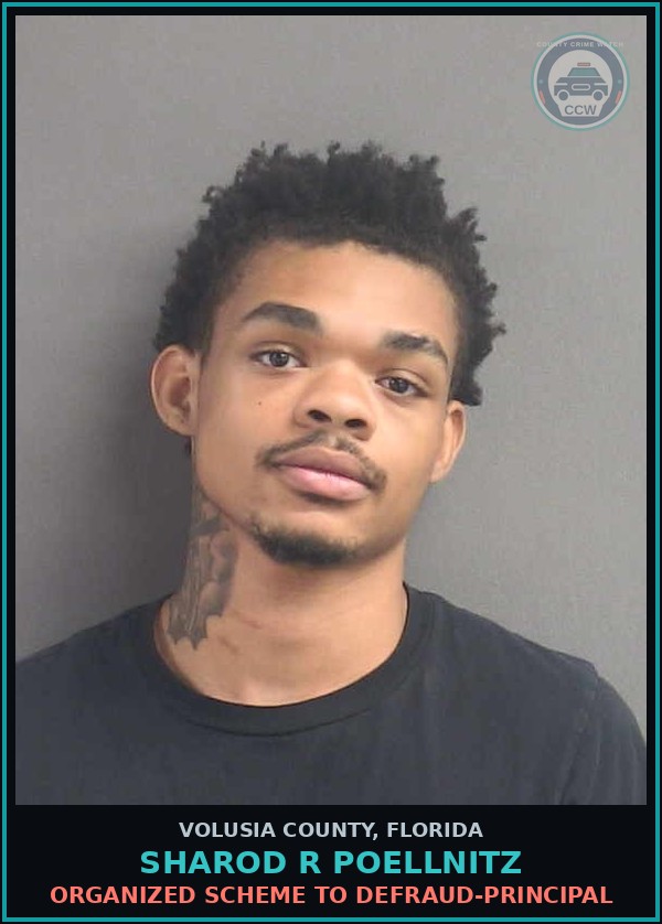Booking mugshot of SHAROD R POELLNITZ in Volusia County