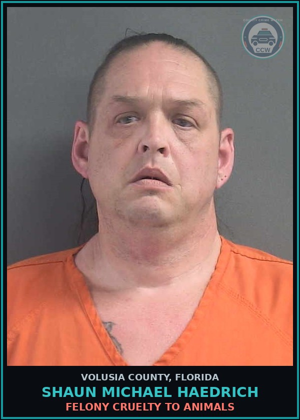 Booking mugshot of SHAUN MICHAEL HAEDRICH in Volusia County