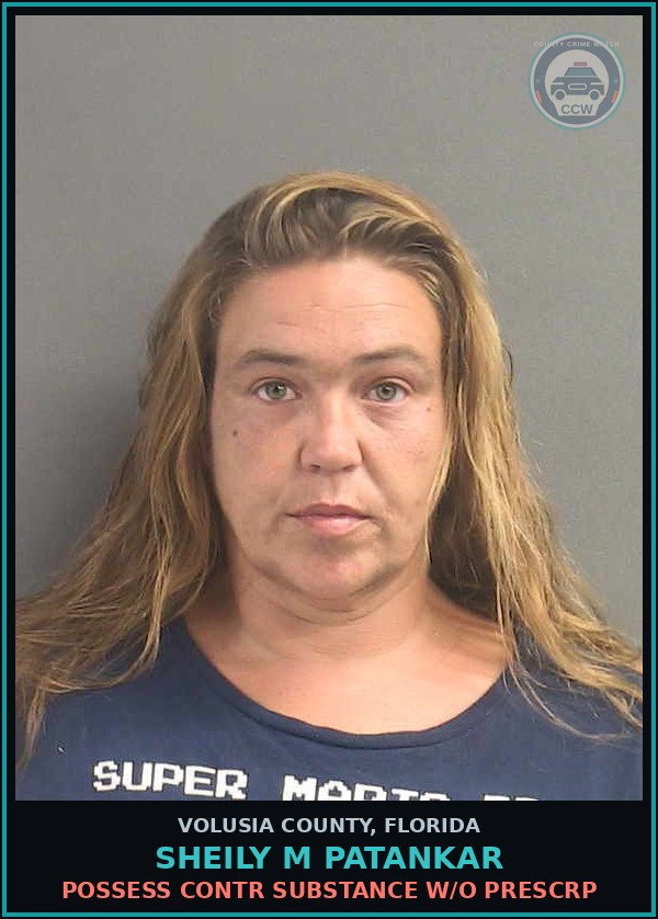 Booking mugshot of SHEILY M PATANKAR in Volusia County