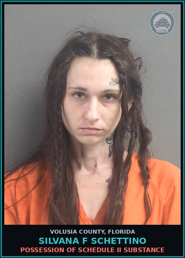Booking mugshot of SILVANA F SCHETTINO in Volusia County