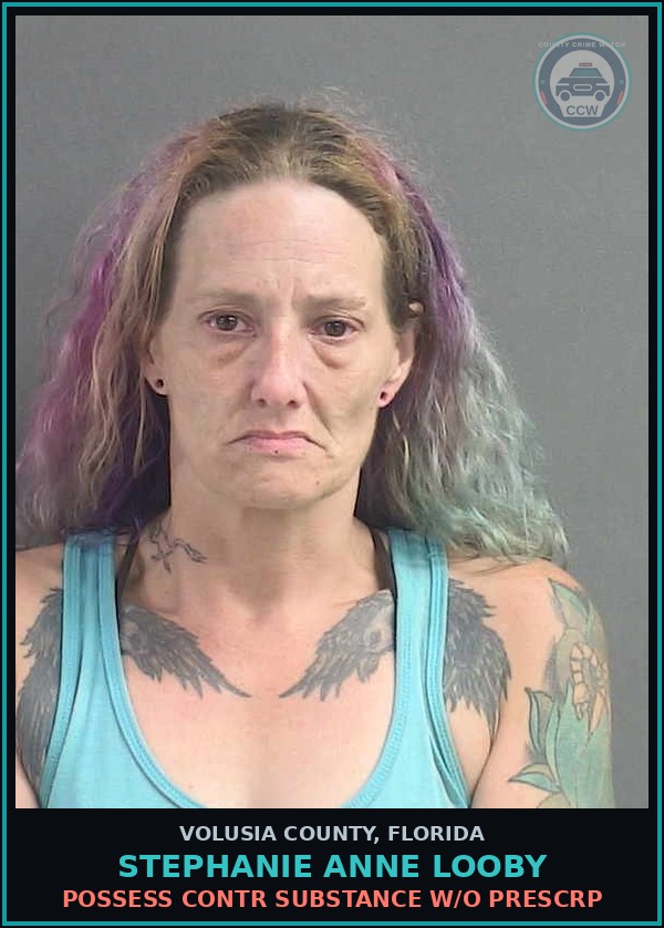 Booking mugshot of STEPHANIE ANNE LOOBY in Volusia County