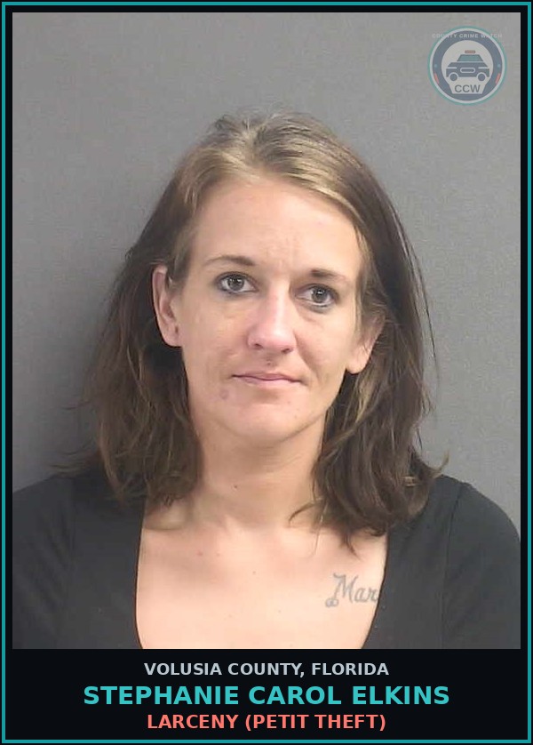 Booking mugshot of STEPHANIE CAROL ELKINS in Volusia County