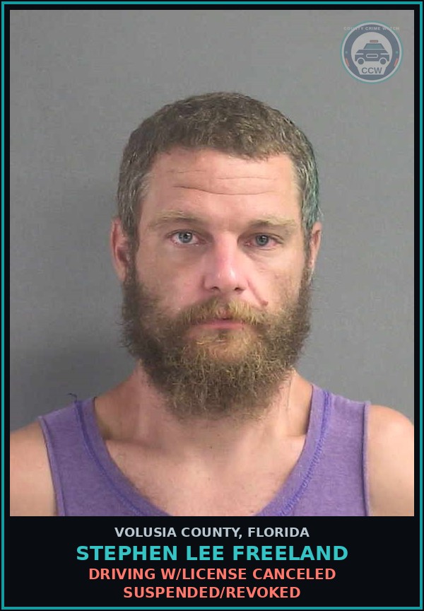 Booking mugshot of STEPHEN LEE FREELAND in Volusia County