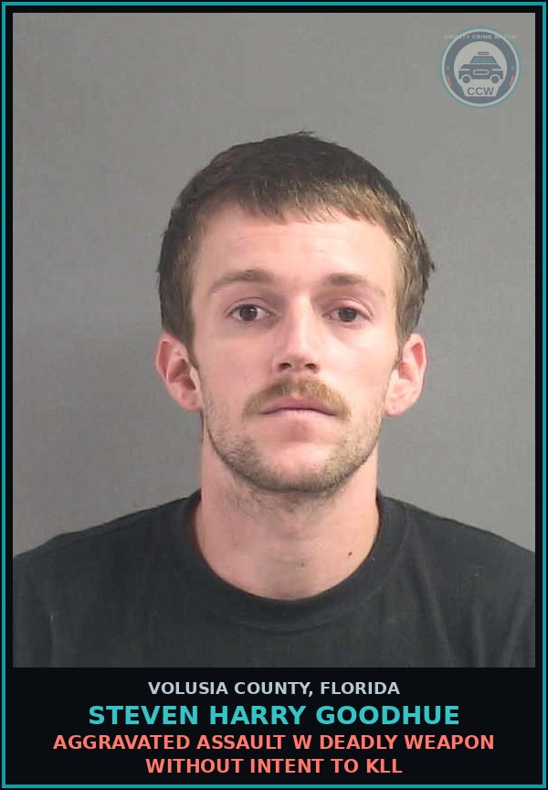 Booking mugshot of STEVEN HARRY GOODHUE in Volusia County